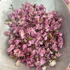 Thé de fleurs de <span class=keywords><strong>cerisier</strong></span> séchées Premium 500g/sac <span class=keywords><strong>Prunus</strong></span> Serrulata Saveur naturelle japonaise Thé santé brut en vrac Boîte Bouteille - Product Image 4