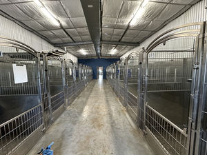 Caseta de perro resistente anticolisión/antiimpacto personalizable de varios materiales de fibra de vidrio/PVC/HDPE - Product Image 4