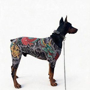 Mono de recuperación Cool Dog Tattoo con estampado de dragón chino, antidesprendimiento, para perros de razas grandes como <span class=keywords><strong>Doberman</strong></span> y Golden Retriever - Product Image 4