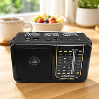 Radio portable rechargeable OEM avec logo personnalisé, moule privé, multi-bandes AM FM TV SW, lecteur de musique USB TF Card, batterie rechargeable DC 5V