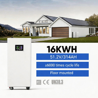 Batterie au lithium de stockage d'énergie de 15 kWh, performance stable pour système solaire hybride domestique