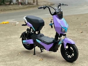-<span class=keywords><strong>Vélo</strong></span> de rue de scooter de moto <span class=keywords><strong>électrique</strong></span> d'adulte de roue avec les appuis de moteur de moyeu arrière pesant plus de <span class=keywords><strong>150</strong></span> <span class=keywords><strong>kg</strong></span> - Product Image 6