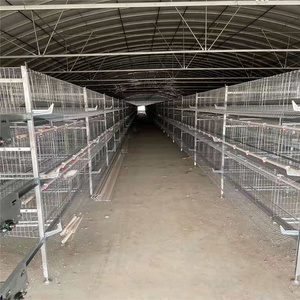 Serre tunnel d'élevage pour volailles, pour poulets - Product Image 4