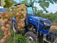 Traktor Pertanian Roda Kompak 35HP 50HP 4WD dengan Mesin 4 Silinder untuk Penggunaan Pertanian