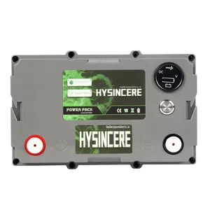 desulfator batterie bleisäure regenerierungsbatterie 48 v 30 ah lithium-batterie für elektrofahrzeuge