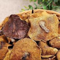 Champignons Suillus Luteus L Exfor, champignons sauvages bruts séchés entiers de Chine, à vendre
