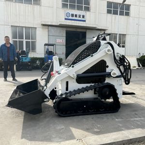 Ce/Epa-Compatibele Dr360 Mini Skid Stuurlader <span class=keywords><strong>Komatsu</strong></span> Mini Crawler Tuinlader Met Epa Motor Emmer Bijlagen <span class=keywords><strong>Track</strong></span> Loader - Product Image 5