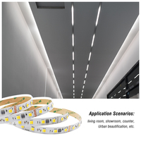 Tira de Luces LED Inteligente Flexible de 5m/10m/30m, 5050 2835 RGB, Luces de 24v DMX512 12v Direccionables CCT IP67, Conectividad USB para Jardín
