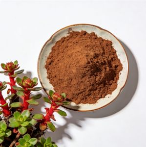 젠추이 고품질 홍경천 추출물 - 에너지 지원을 위한 식물 추출물, 공장 가격 - Product Image 2