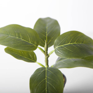 กระถางต้นไม้เทียมขนาด15ซม. <span class=keywords><strong>Ficus</strong></span> <span class=keywords><strong>altissima</strong></span> <span class=keywords><strong>altissima</strong></span> สำหรับสำนักงานของตกแต่งบ้าน - Product Image 4