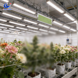 Mesa de Cultivo Hidropónico Vertical con Sistema de Flujo y Reflujo, Banco Rodante Premium para Cultivo Interior - Product Image 1