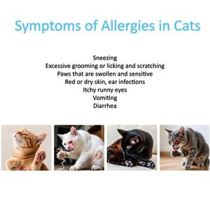 Allergietest: 46 inhalatie-allergenen Testkit voor feline allergene-specifieke IgE-antilichamen (Proteïne Microarray) - Product Image 3