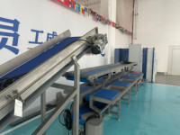 Groene boon, aardbei, mandarijn, bubbelwas-, sorteer-, luchtdroog- en continue voorbereidingslijn voor groenteverwerking voor voedselfabrieken