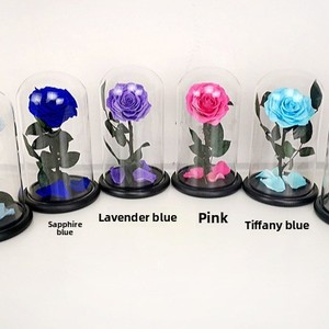 <span class=keywords><strong>Petit</strong></span> <span class=keywords><strong>Prince</strong></span> Rose, fleur préservée sous cloche en verre, boîte cadeau 7-8cm pour Noël, la Saint-Valentin, anniversaire, cadeau créatif - Product Image 5