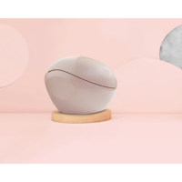 Masajeador de Belleza Multi-Cabezal con Conexión USB, Dispositivo Portátil para el Cuidado Facial Completo, Reafirmante de Piel, Estiramiento Facial, Eliminación de Pigmentos, ABS