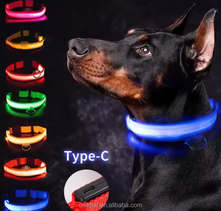 Wasserdichte Beleuchtung LED-Haustierhalsbänder einstellbar USB Typ-C wiederaufladbar LED beleuchtetes Hundehalsband