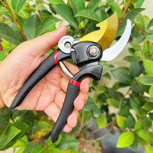 Tijeras de podar Pinheng con hoja de acero de aleación de 55 mm y estructura de mariposa para podar árboles frutales y uso en jardinería - Product Image 1