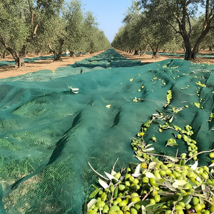Filets de récolte de fruits 100% HDPE pour l'agriculture, protection de l'environnement, durables, filets de récolte d'olives - Product Image 1