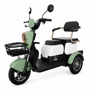 DomeRide Micro Car 2025 Nuovo Arrivo Certificazione EEC Tricicli Elettrici Piccoli 60v 1000w per Anziani - Product Image 4