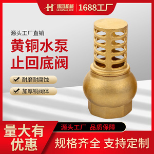 Válvula de Retención de Latón Huihong de 1 Pulgada con Filtro de Entrada de Resorte Antirretorno para Bomba de Agua, Uso a Temperatura Normal - Product Image 5