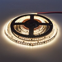 Bande LED à pixels blancs DC24V 120 LED/M SMD2835 20 Pixels/M Bande LED adressable programmable pour l'éclairage architectural