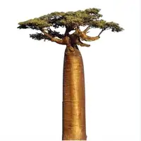 Árvore de baobab artificial grande de simulação alta à venda