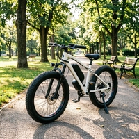 Vélo électrique adulte 48V, pneus larges 26 pouces, boîte de vitesses 21 rapports, cadre en acier, moteur sans balais, batterie lithium, léger, frein à disque avant