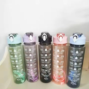 750ml givré couleur progressive PC extérieur cyclisme bouteille d'eau couvercle en plastique infuseur fonction accès direct magasin de sport Commercial - Product Image 5