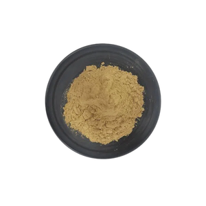 Produk organik produk QYHerb kualitas unggul ekstrak bubuk <span class=keywords><strong>Bacopa</strong></span> Monnieri murni harga murah untuk dijual - Product Image 3