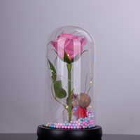 Cloche en verre soufflé transparent en borosilicate, anti-poussière, ovale, avec base en bois, pour terrarium, vente en gros