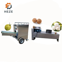 Presse à coques de noix de coco portable, machine à décortiquer les noix de coco, machine à décortiquer les coques de noix de coco et à retirer les noyaux de palmier