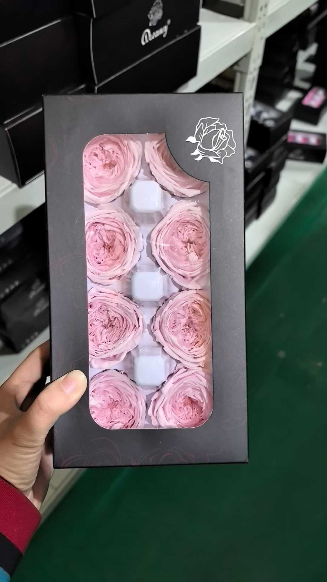rose pâle