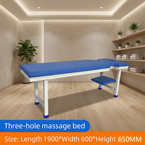 Cama <span class=keywords><strong>de</strong></span> <span class=keywords><strong>Fisioterapia</strong></span> Plana para Uso Doméstico y Hospitalario, Estructura <span class=keywords><strong>de</strong></span> Acero Galvanizado, Capacidad <span class=keywords><strong>de</strong></span> Carga <span class=keywords><strong>de</strong></span> 200 kg, Colchón <span class=keywords><strong>de</strong></span> PU <span class=keywords><strong>de</strong></span> 60 mm, Reposabrazos para Clínica y <span class=keywords><strong>Hospital</strong></span> - Product Image 6