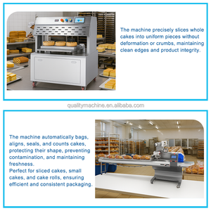 Equipo Industrial para la Elaboración de Pasteles, Pasteles Suaves, Donas y Rollos Suizos, Tecnología Avanzada de Llenado Automático de Masa - Product Image 4