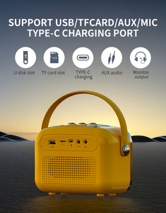 Enceinte karaoké portable Winbridge L10 30W avec microphone sans fil USB AUX - Product Image 2