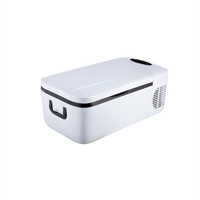 12L 12/24V автомобиль refrigeratorfor электрический портативный мини-холодильник/охладитель/морозильная камера для автомобиля/дома/грузовик