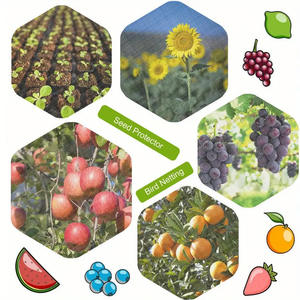 Banana Fruit Saver Anti-Insect HDPE Screen Bag 50 40 Mesh Green Garden Defender para Tree House Thick Mosquito & Bird Screen - Product Image 3