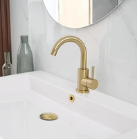 Lavabo en acier inoxydable antigel robinet d'eau chaude et froide rotatif ménage monotrou lavabo robinet noir