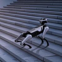 Robot chien éducatif pour la programmation STEM, la recherche en robotique et l'apprentissage de l'IA MagicDog EDU