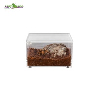 Terrarium en acrylique REPTIZOO pour araignées, avec porte coulissante à fermeture magnétique et trous de ventilation, pour araignées sauteuses et tarantules