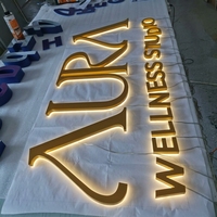 Enseignes lumineuses 3D personnalisées, lettres en relief, panneaux LED, logos, enseignes extérieures rétroéclairées, lettres en acier inoxydable pour entreprises et commerces