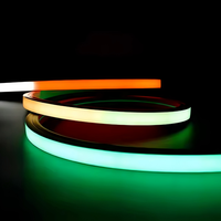 Bande lumineuse néon flexible RGB contrôlée par la musique intelligente DC12V/DC24V LED multicolore pour paysage IP67 corps en gel de silice