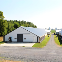Bâtiment métallique préfabriqué pour élevage avicole commercial à grande échelle, structure en acier préfabriquée pour poulailler