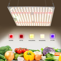 Panneau de lampe de croissance Lm282b 650 watts Led lampe de croissance UV IR lampes de croissance à spectre complet