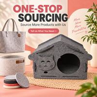 Maisonnette en feutre pour chat, abri intérieur pour animaux de compagnie avec motif visage de chat mignon, montage facile, abri pour chat
