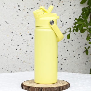 Bouteille de sport isotherme personnalisée de 18 oz avec poignée et double couvercle pour enfants, école, gymnase, voyage en plein air, gourde sous vide - Product Image 1