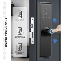 Serrure de porte intelligente numérique TYSH Ai Ttlock, poignée de porte électrique, serrure électrique bleue
