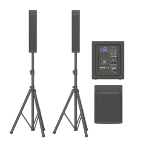 Altavoz Satélite Activo Profesional de Madera con Módulo de Placa Amplificadora para Reproductores de Audio Portátiles y Fiestas - Product Image 1