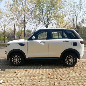 Çin ucuz 1000w Mini düşük hızlı elektrikli araba elektrikli araç