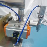 Machine de Remplissage Semi-Automatique à Piston pour Aliments, Sauces Haricot Sucrées, Pâtes de Soja, Chili, Tomate, Mayonnaise, Beurre de Cacahuète, Petite avec Mélangeur